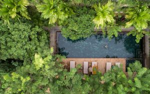 The Nature Hotel