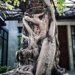 Treeline Hotels