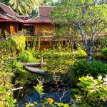 lotus-pond-center-khmer-village-siem-reap
