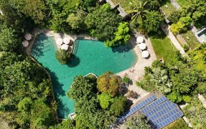 templation-pool