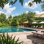 Farmhouse-Smiling -Gecko-pool