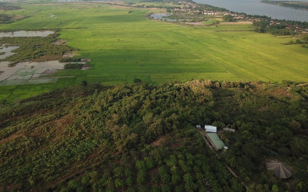 hanchey bamboo resort