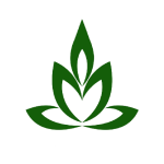 Hanchey Bamboo Resort